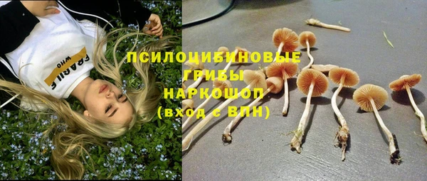 мяу мяу кристалл Баксан