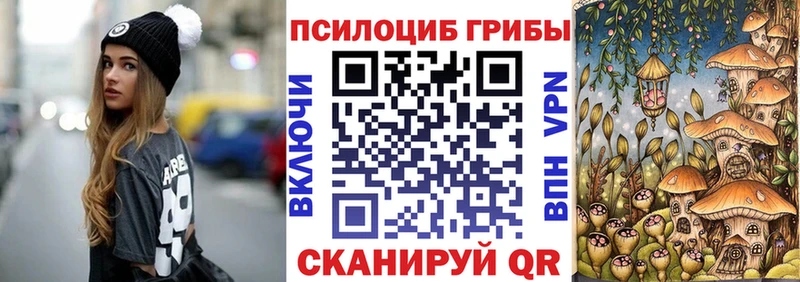 как найти   Руза  Псилоцибиновые грибы ЛСД 